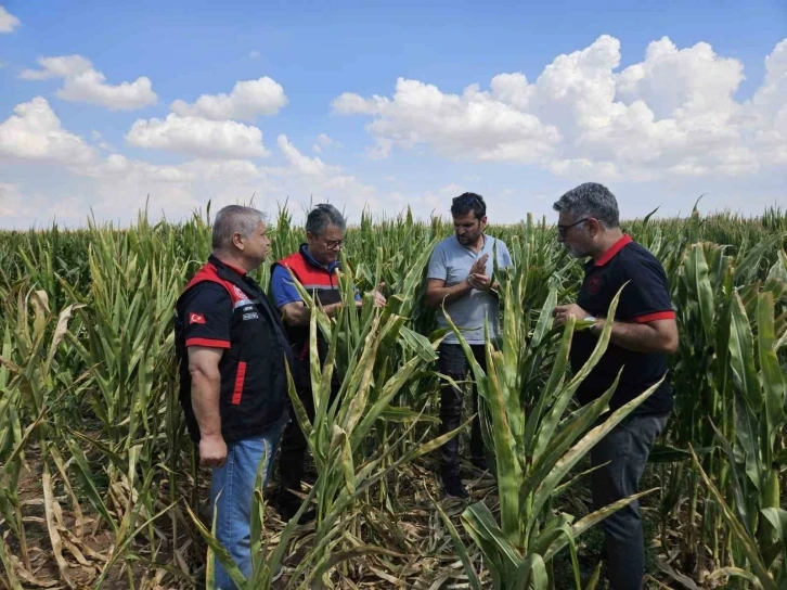 Eskişehir tohumluk üretimini 10 bin dekardan 200 bin dekara ulaştı
