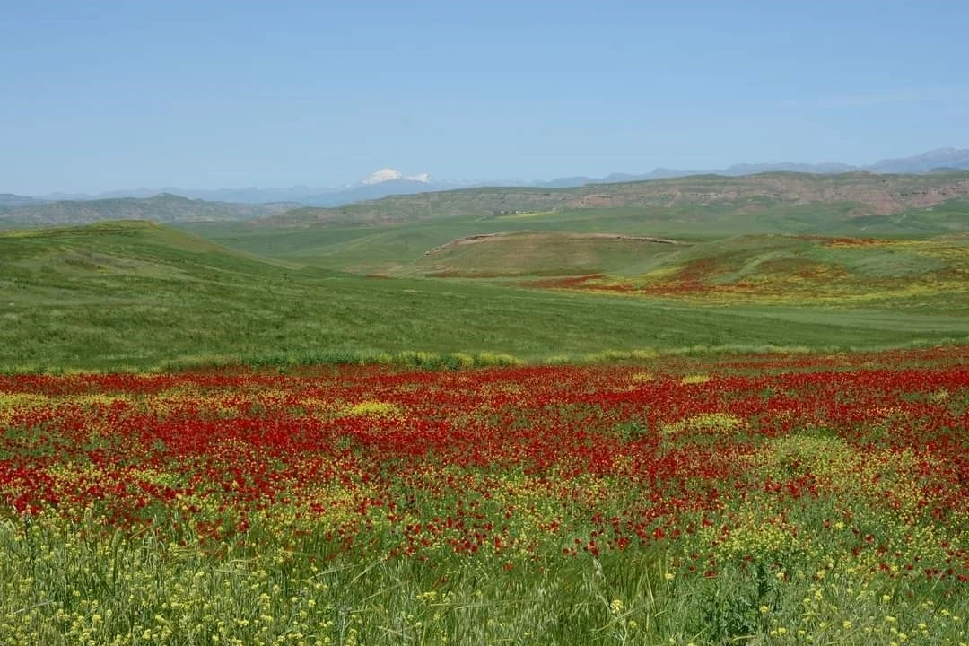 Garzan Ovası büyük ova ilan edildi
