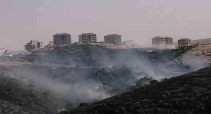 Gaziantep’te korkutan orman yangını
