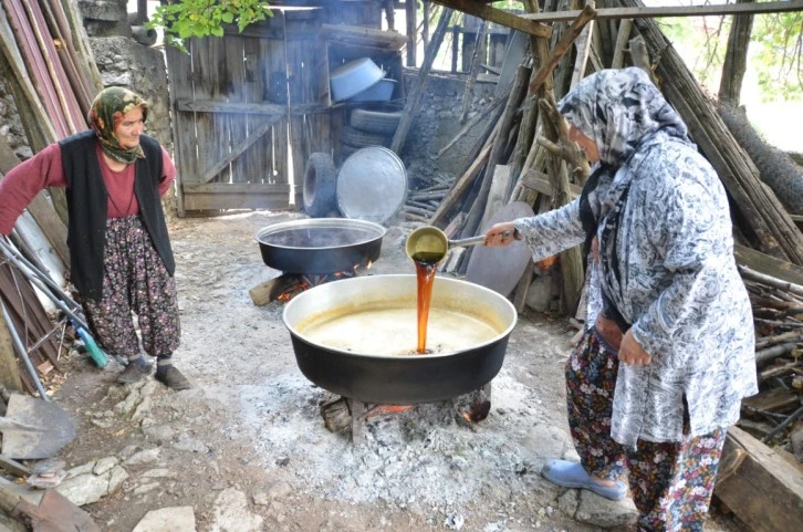 Geleneksel Pekmez Üretimi Başladı - Marmaris Yeni Sayfa | Marmaris Haber, Marmaris Gündem