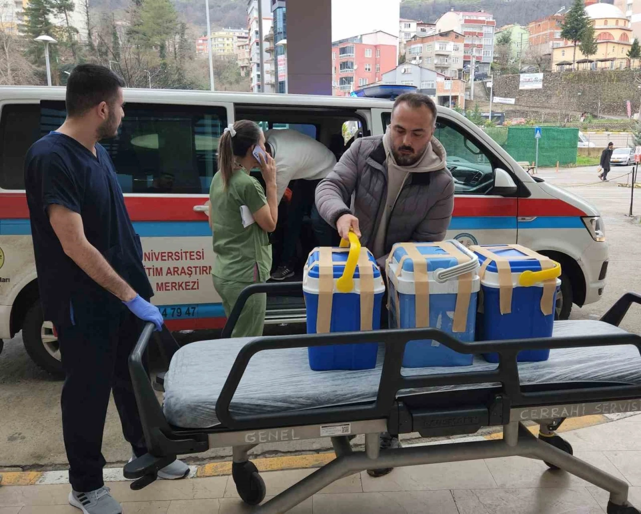 Giresun’da beyin ölümü gerçekleşen tiyatro sanatçısının organları 4 kişiye umut oldu
