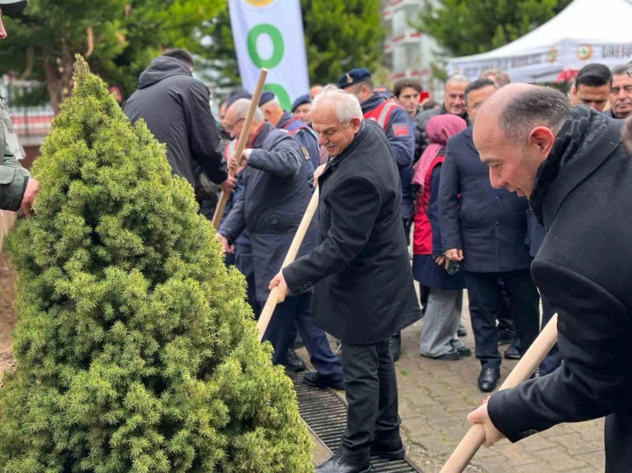 Giresun’da fidanlar toprakla buluştu
