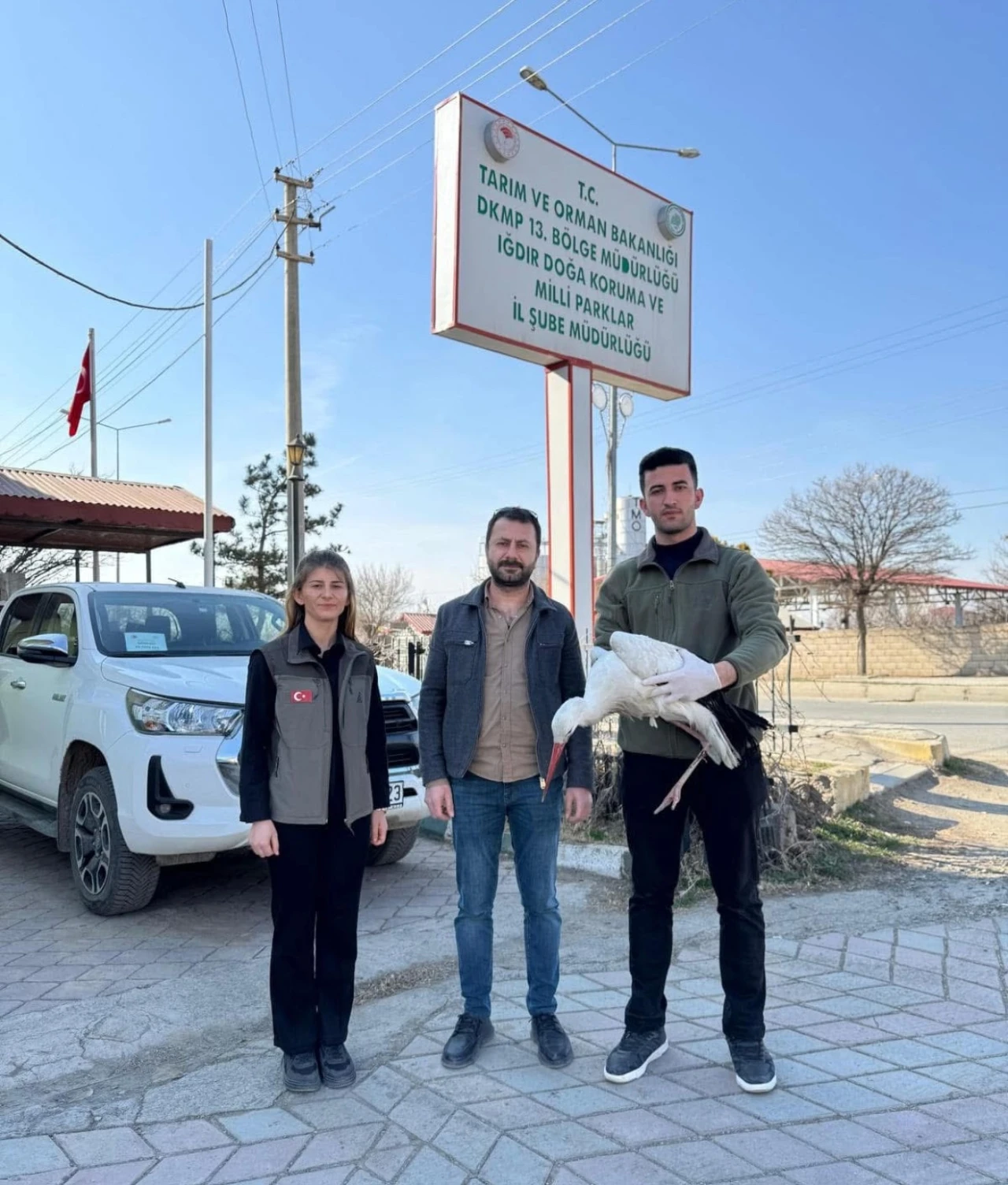 Göç yolunda bitkin düşen leylek tedavi altına alındı
