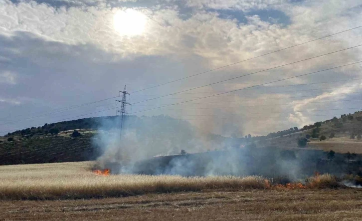 Gölbaşı ilçesinde arpa tarlası yandı
