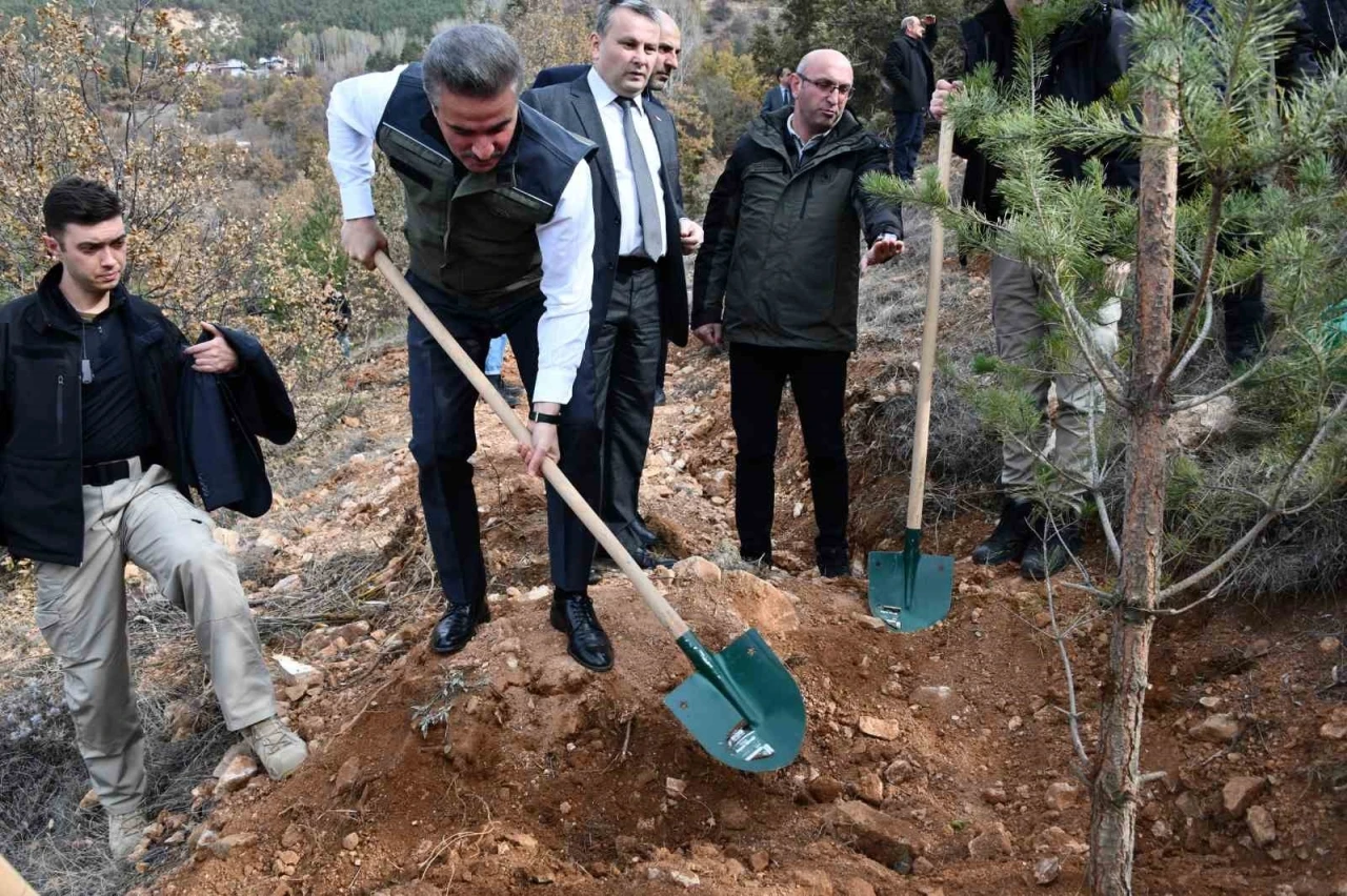 Gümüşhane’de binlerce fidan toprakla buluştu
