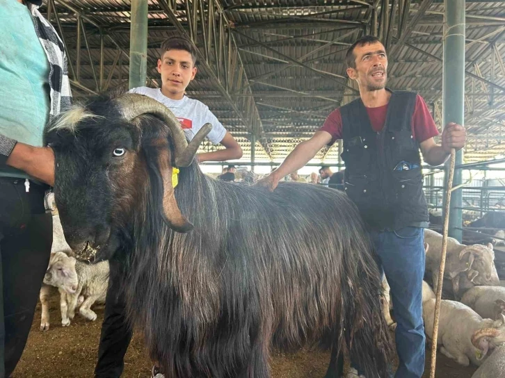 Haber olan ‘Karaoğlan’ yurt dışına satıldı
