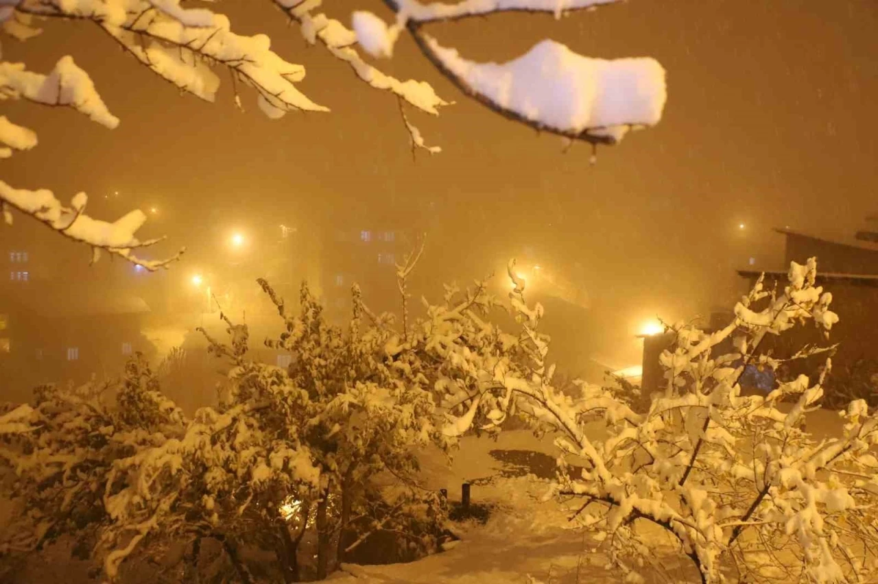 Hakkari’de 10 köy yolu ulaşıma kapandı
