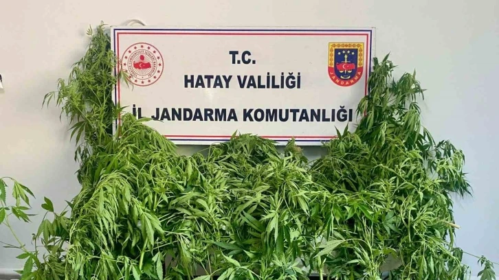 Hassas burunlu jandarma köpeğinin uyuşturucu bulduğu anlar kamerada
