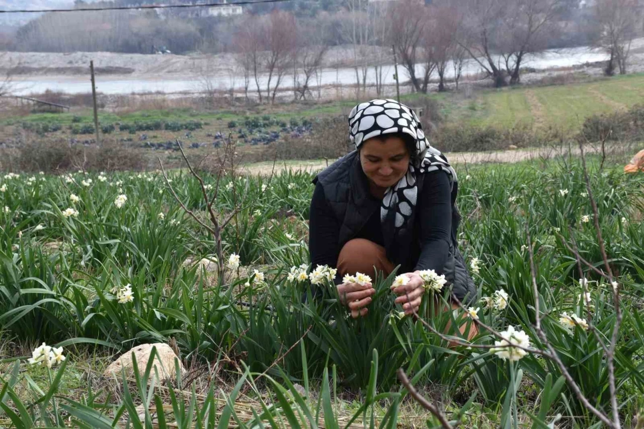 Hobi olarak başladı geçim kaynağı oldu
