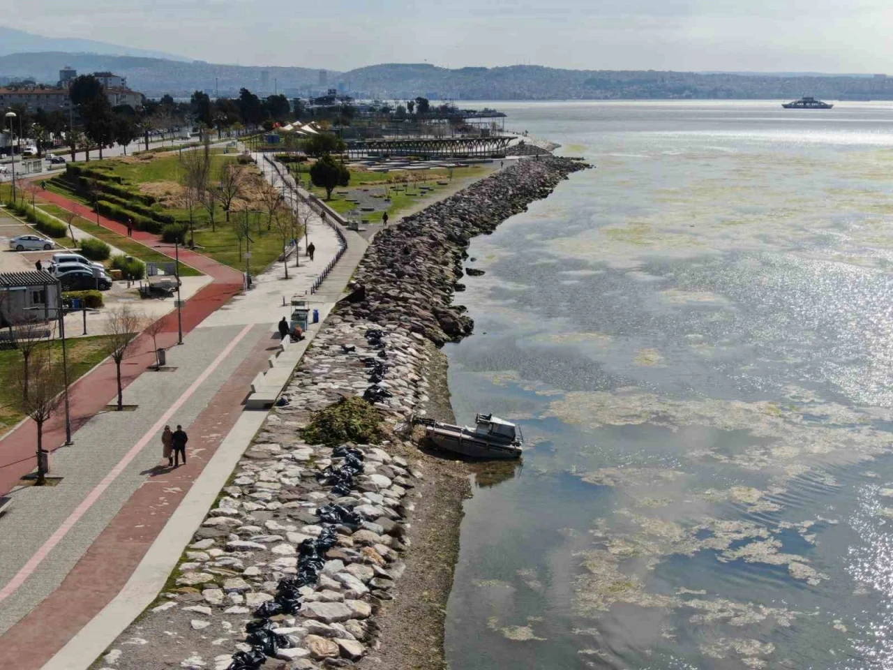 İzmir Bostanlı sahilini deniz marulu sardı
