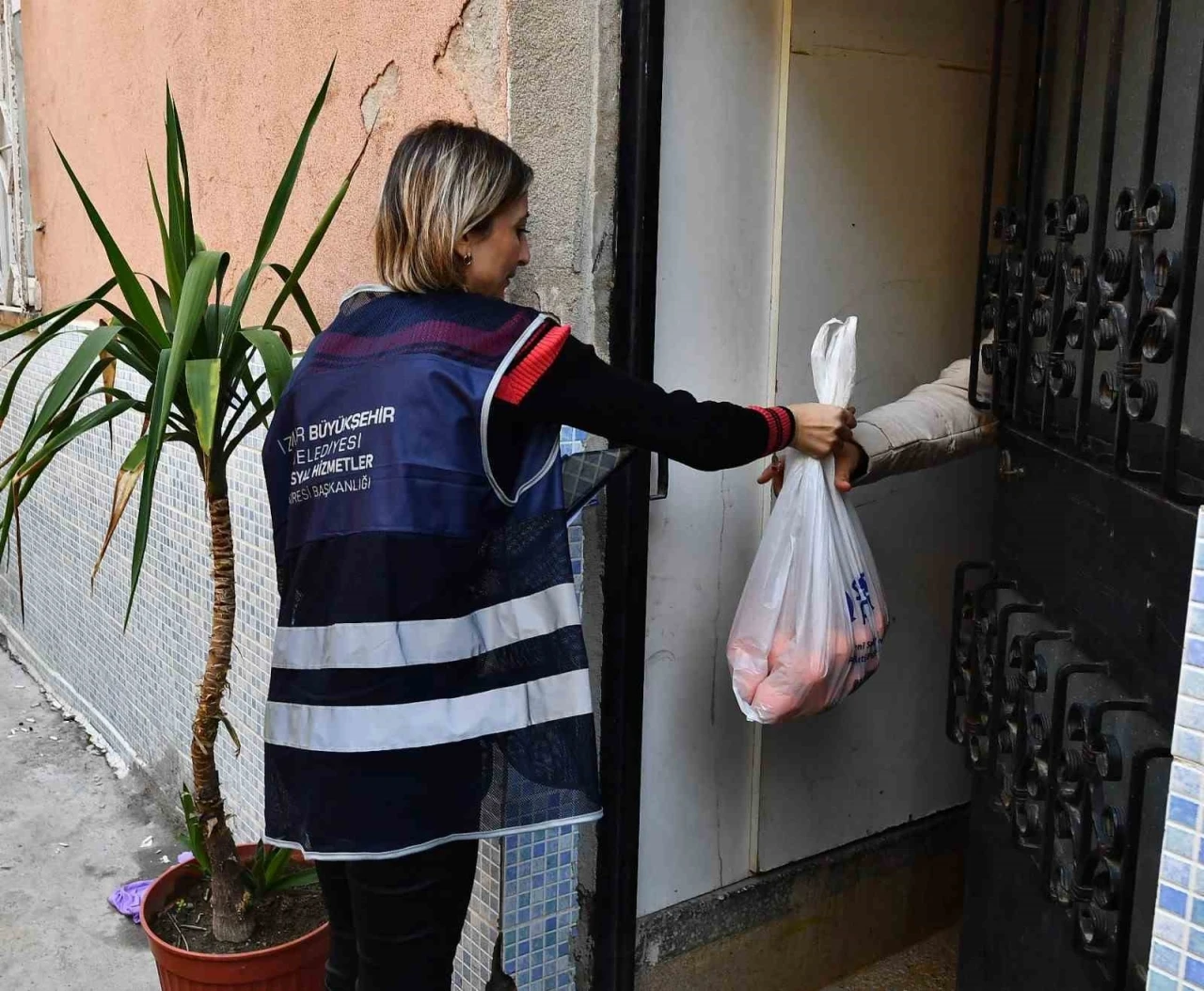 İzmir’de 5 ton mandalina örnek iş birliği ile dağıtılıyor
