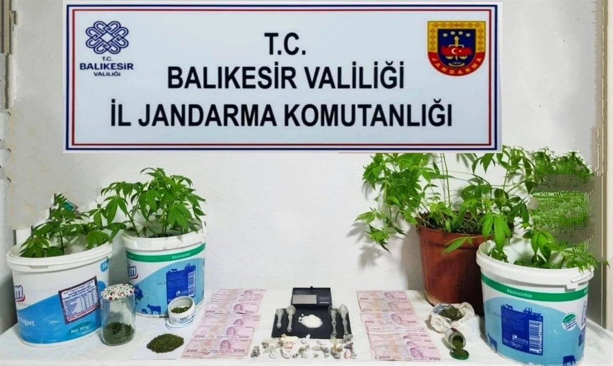 Jandarma’dan 6 ilçede uyuşturucu operasyonu
