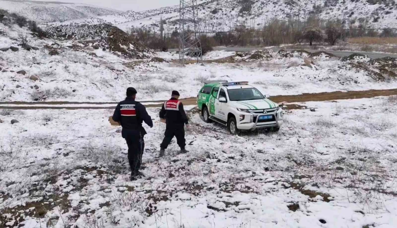 Jandarma ekipleri doğadaki canlıları unutmadı
