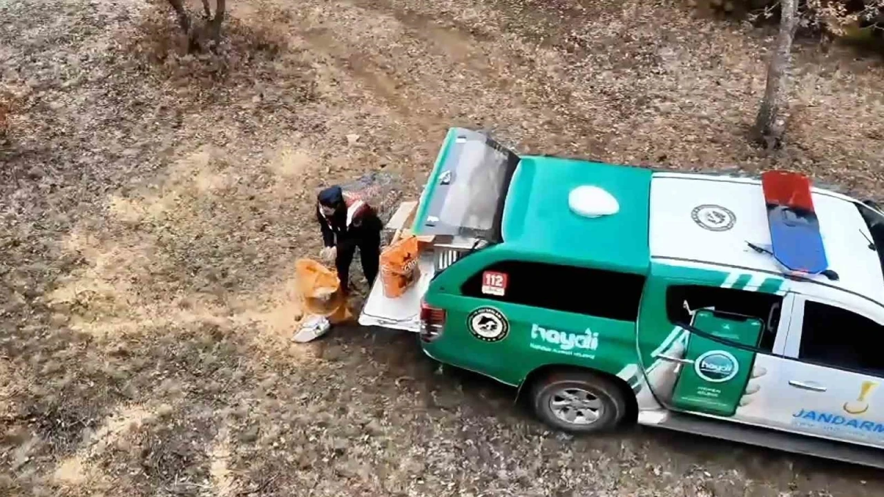 Jandarma, yaban hayvanları için doğaya yem bıraktı
