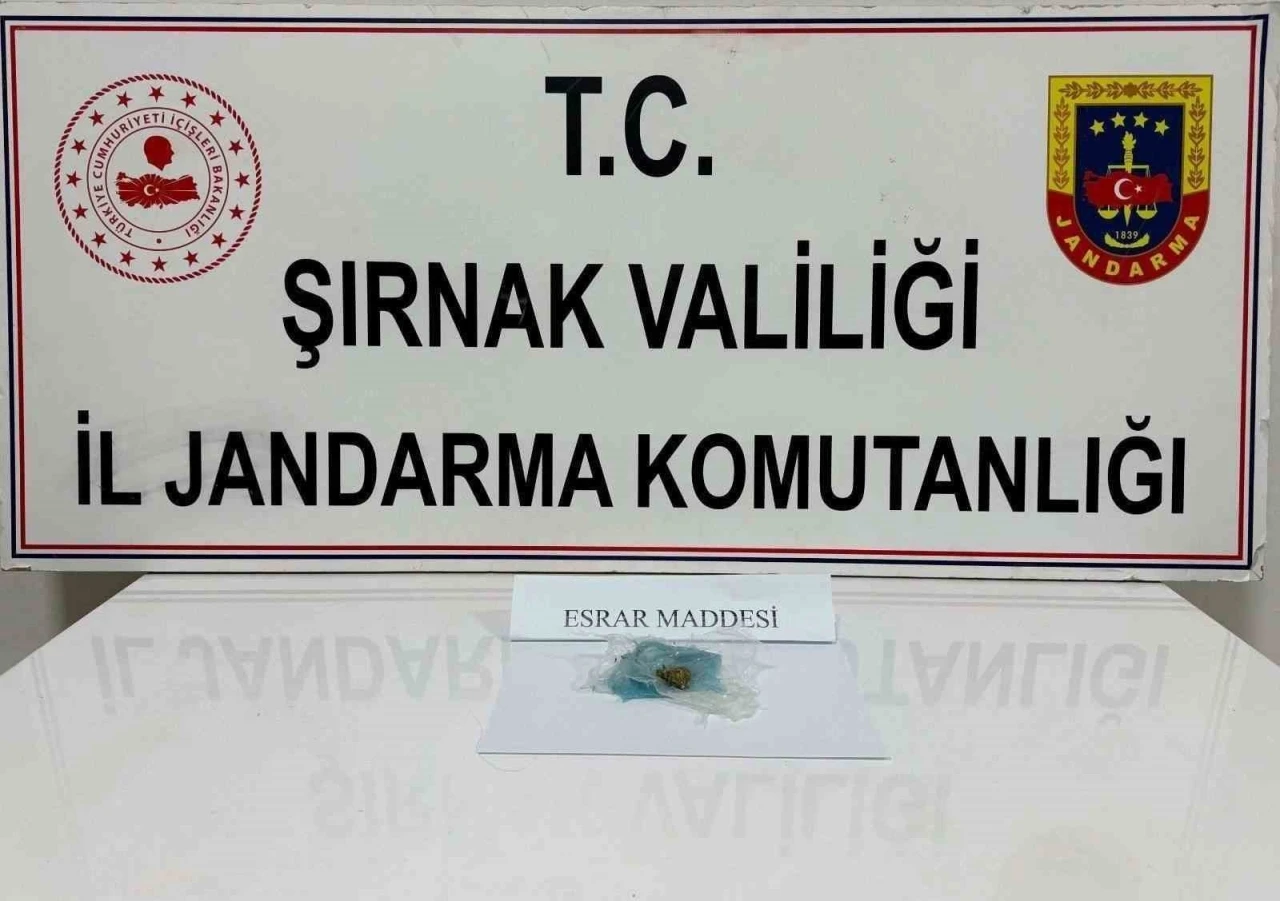 Jandarma yaklaşık 4 milyon liralık kaçakçılığı önledi: 43 gözaltı
