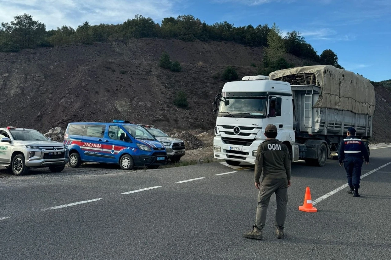 Kaçak orman emvali ile ilgili denetimler sürüyor
