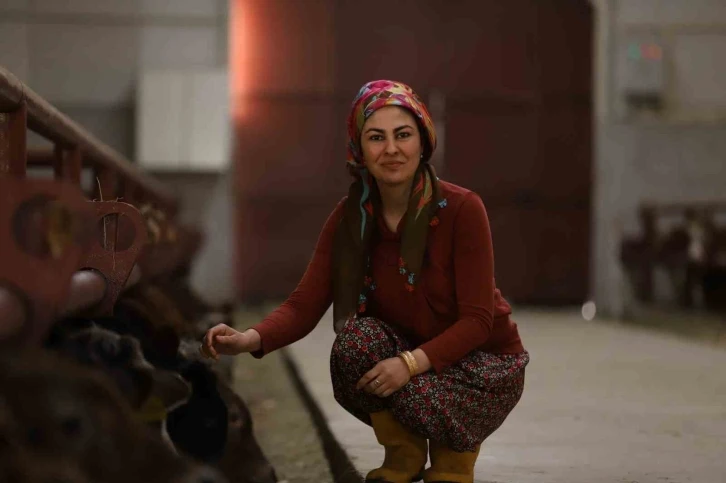 Kadın girişimci 700 bin lira hibeyle 100 büyükbaş kapasiteli besi çiftliği kurdu
