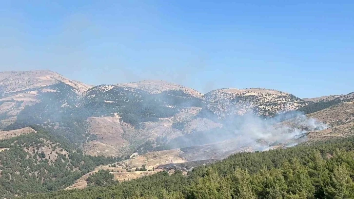 Kahramanmaraş’ta orman yangını: Ekipler müdahale ediyor
