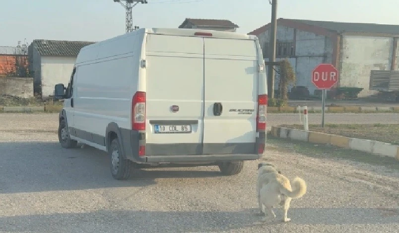 Kamyonetin arkasına bağlanarak sürüklenen köpek kurtarıldı, şahıslara cezai işlem uygulandı
