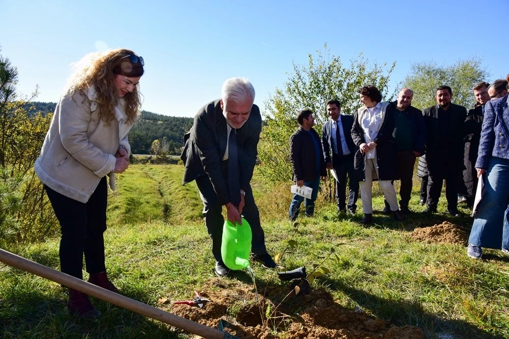 Kastamonu Üniversitesi’nde 100 fidan dikildi
