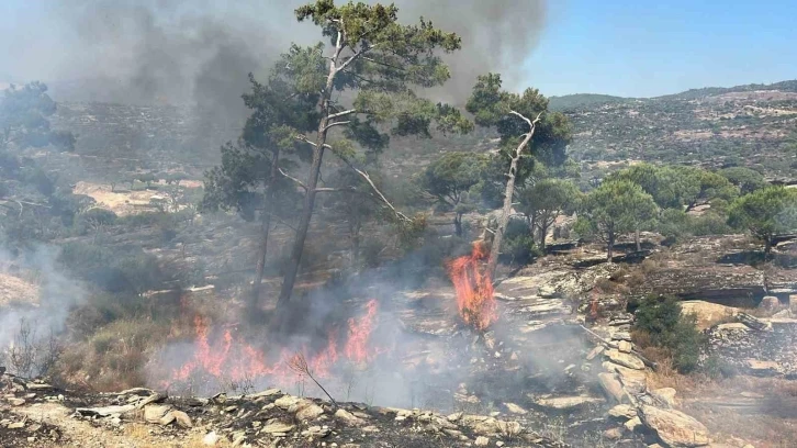 Kavaklıdere’de orman yangını
