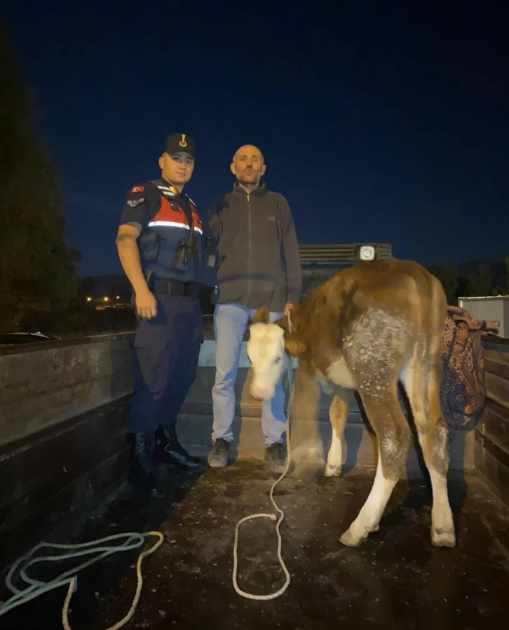 Kayseri’de çalındı, Kahramanmaraş’ta bulundu
