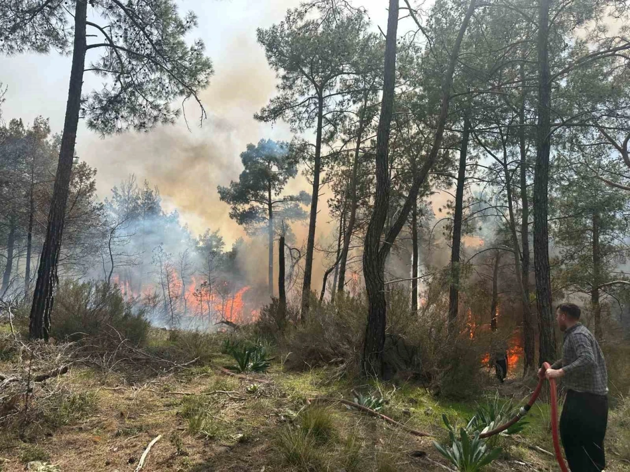 Kemer’de orman yangını
