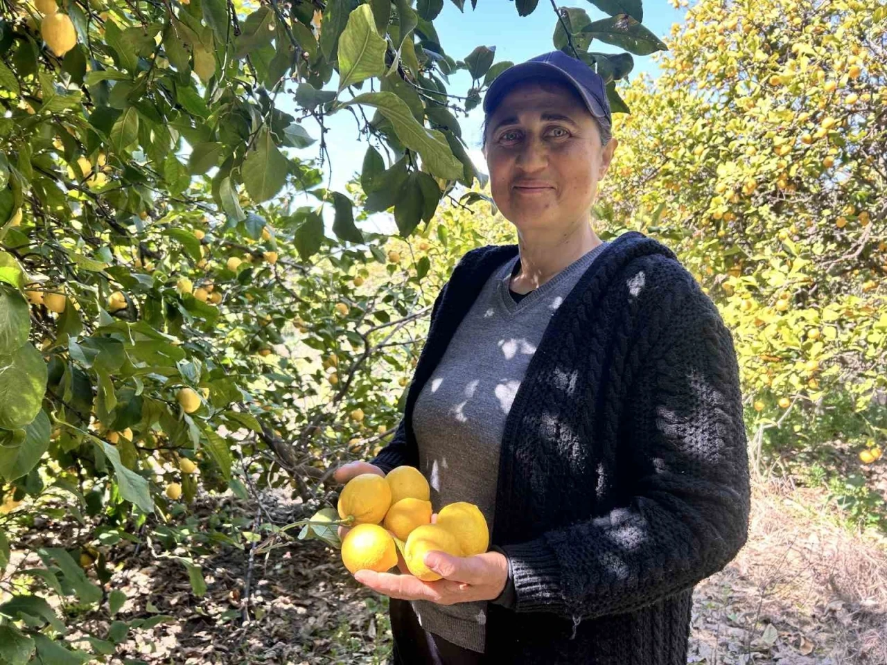 Kimilerine garip gelse de Meral çavuş, 30 yıldır tarlaların yolunu tutarak ekmek parasını kazanıyor
