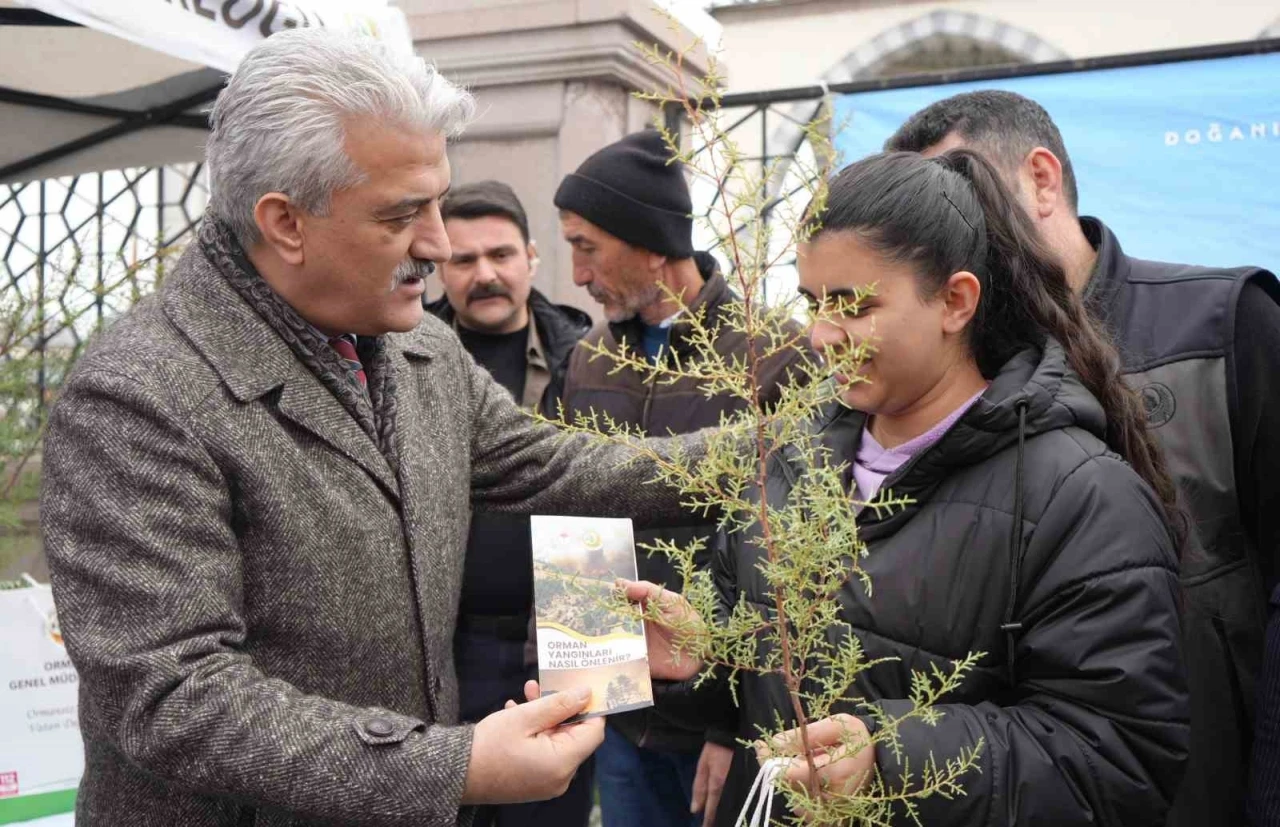 Kırıkkale’de vatandaşlara ücretsiz fidan dağıtıldı
