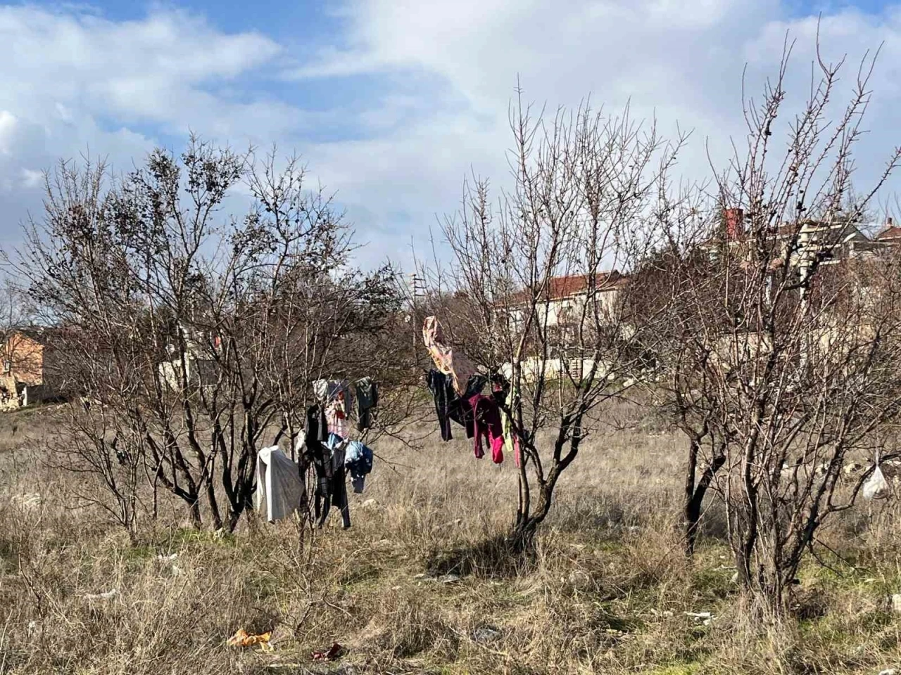 Kış ortasında kuruması için ağaca asılan elbiseler
