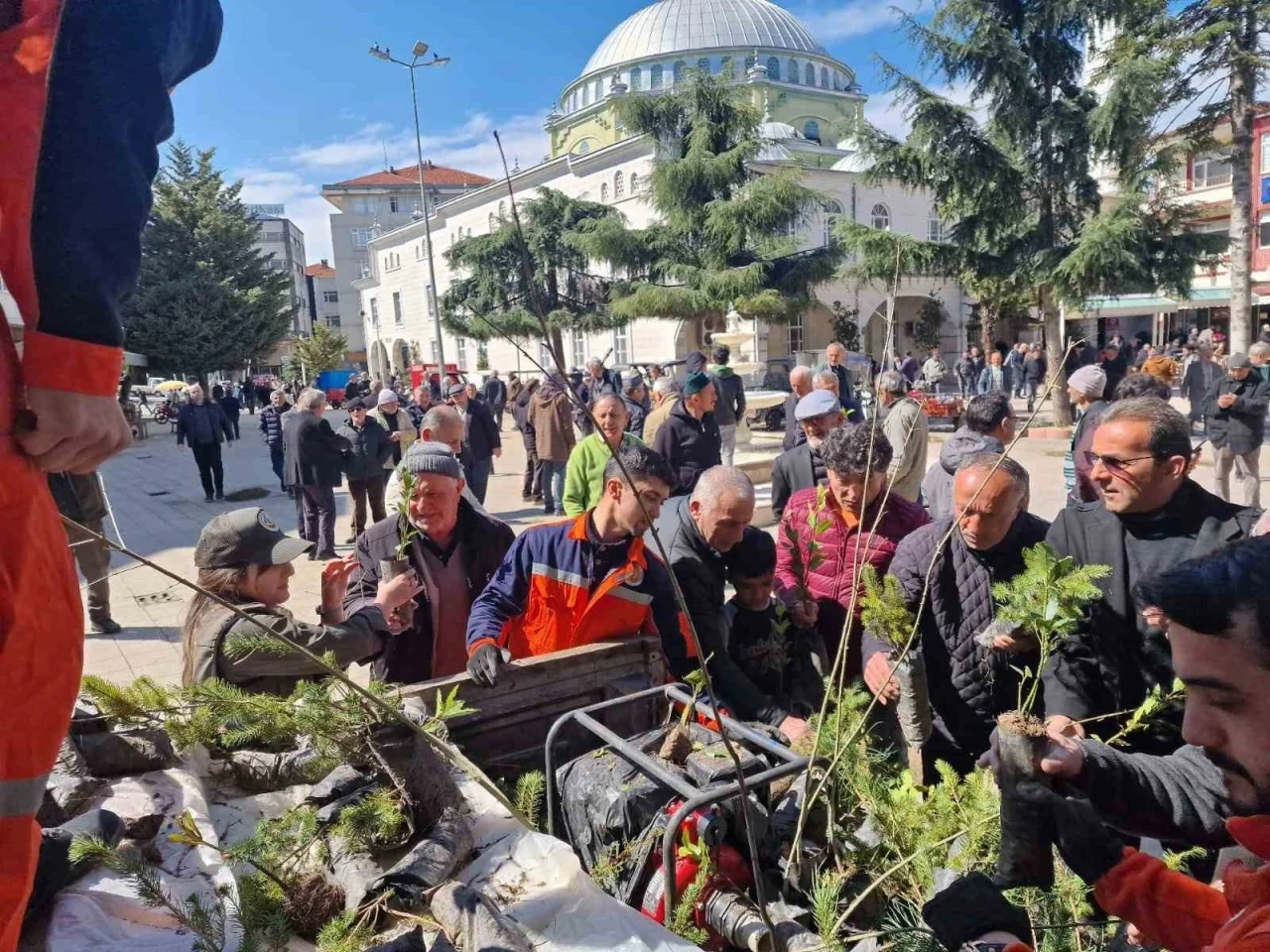 Kocaali’de vatandaşlara ücretsiz meyve fidanı dağıtıldı
