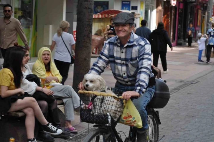 Köpeğini bisikletinin sepetine koyup güzel havanın tadını çıkardı
