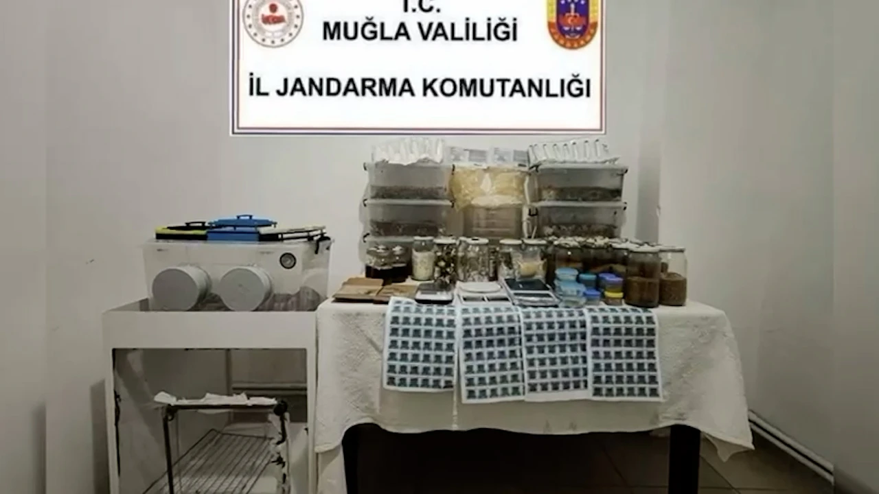 Köyceğiz'de 22 Kilogram LSD Ele Geçirildi