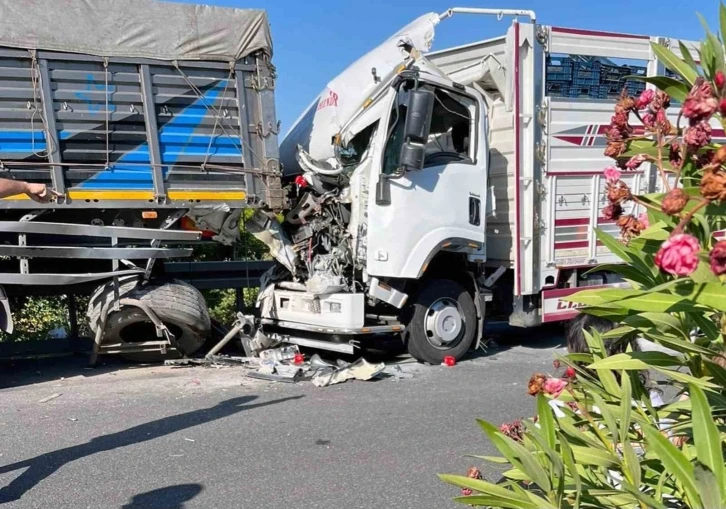 KÖYCEĞİZ’DE FECİ KAZA: 2 ÖLÜ