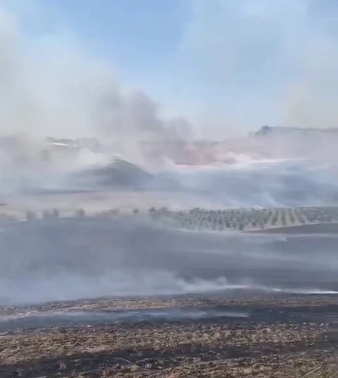 Köyde çıkan anız yangını güçlükle söndürüldü
