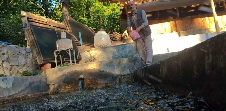 Köydeki küçük bir tesisten mütevazı restorana uzanan hikaye
