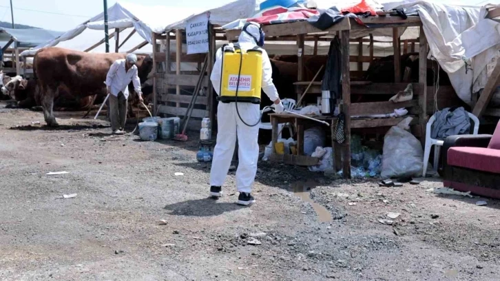 Kurban bayramı için hijyen alarmı: Hastalık riskine karşı harekete geçtiler
