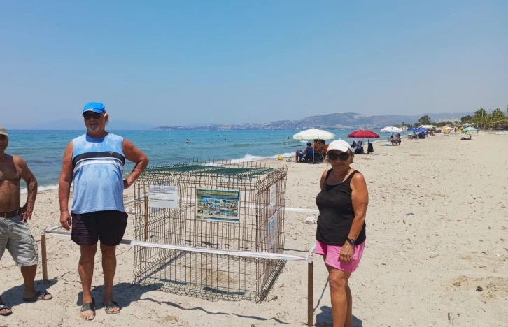 Kuşadası’nda caretta yuvaları çoğalıyor
