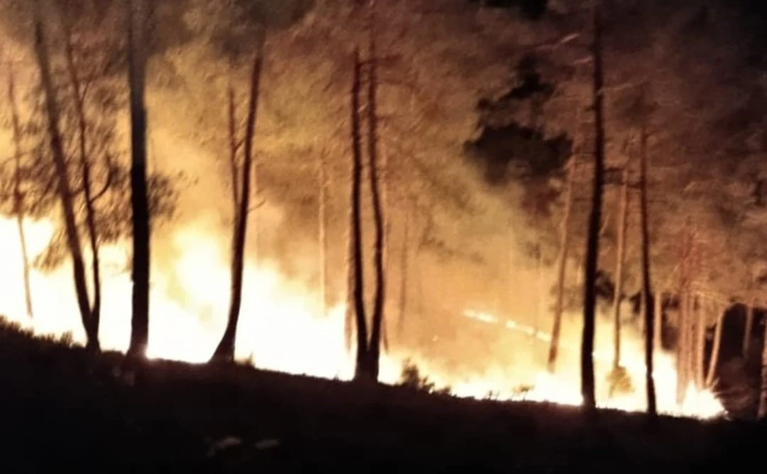 Kütahya’daki orman yangını kısa sürede söndürüldü
