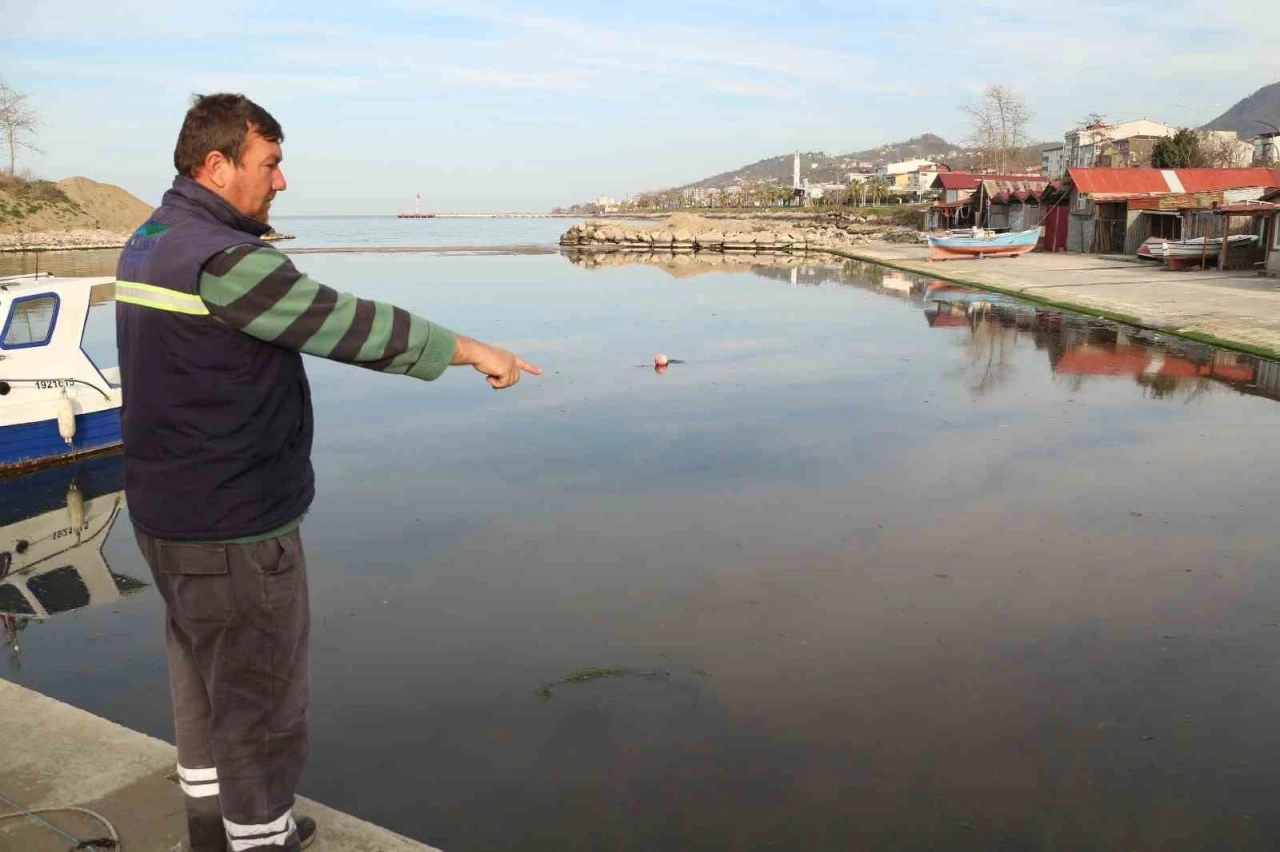 Liman girişi kumla doldu, balıkçılar mahsur kaldı
