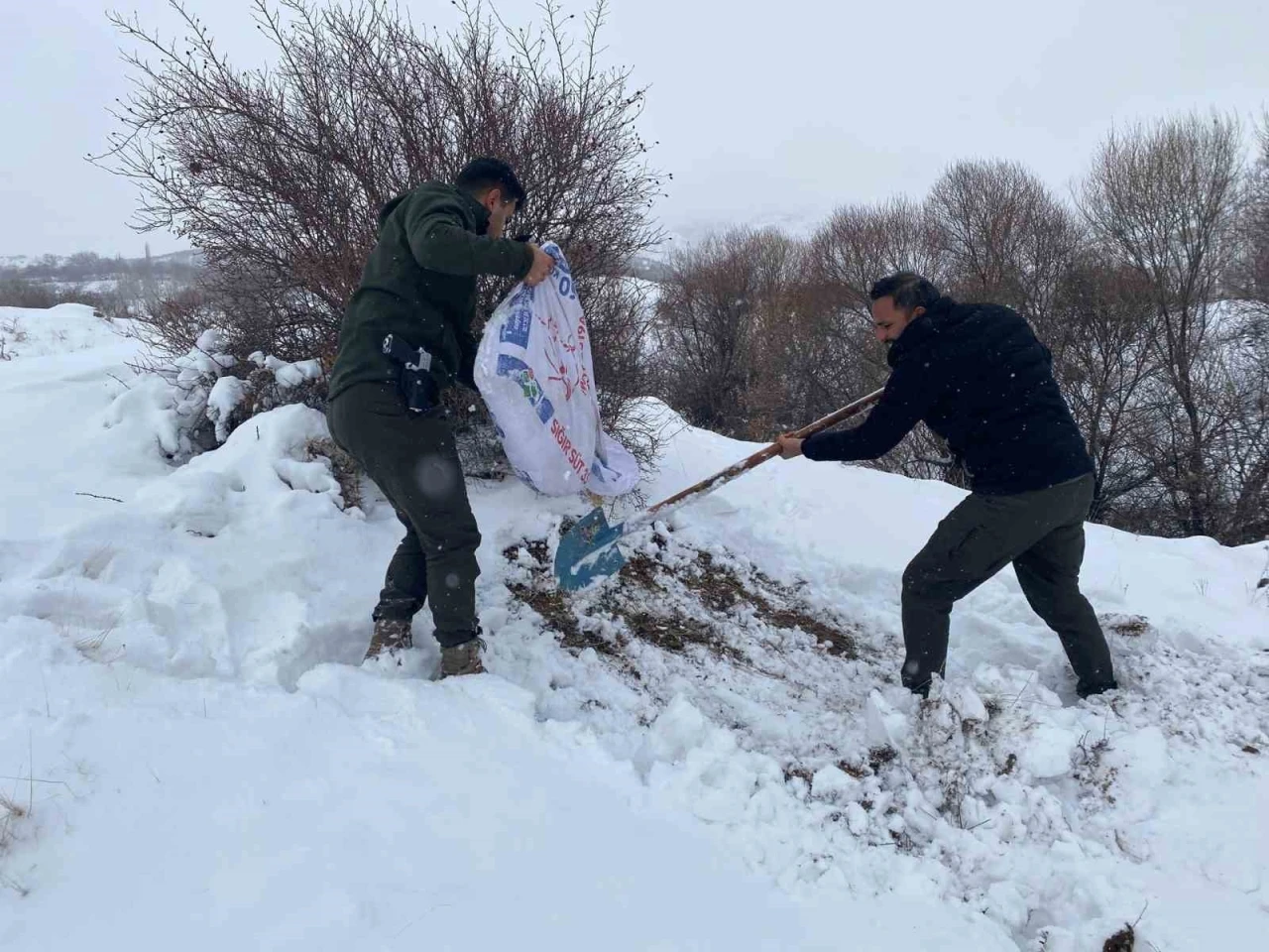 Malatya’da yaban hayvanları için yemleme çalışması
