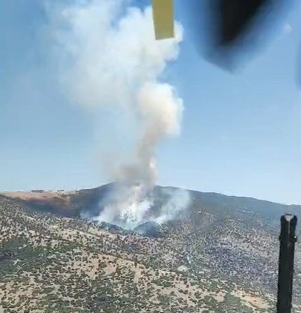 Manisa’da orman yangını
