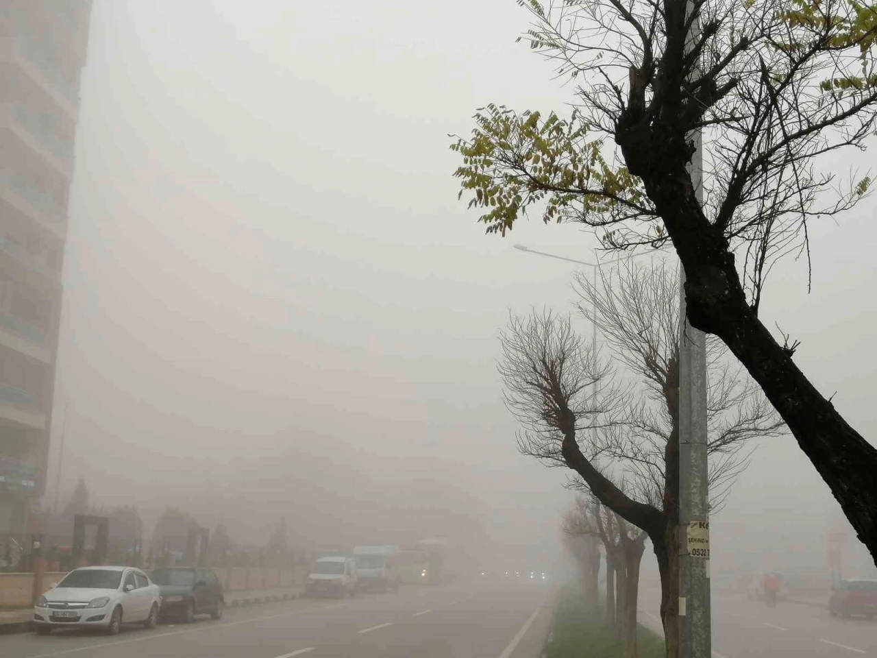 Manisa’da yoğun sis etkili oluyor
