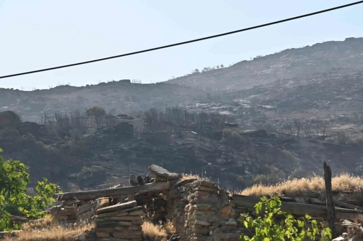 Manisa’daki yangınlar geçen seneye göre 2 kat arttı
