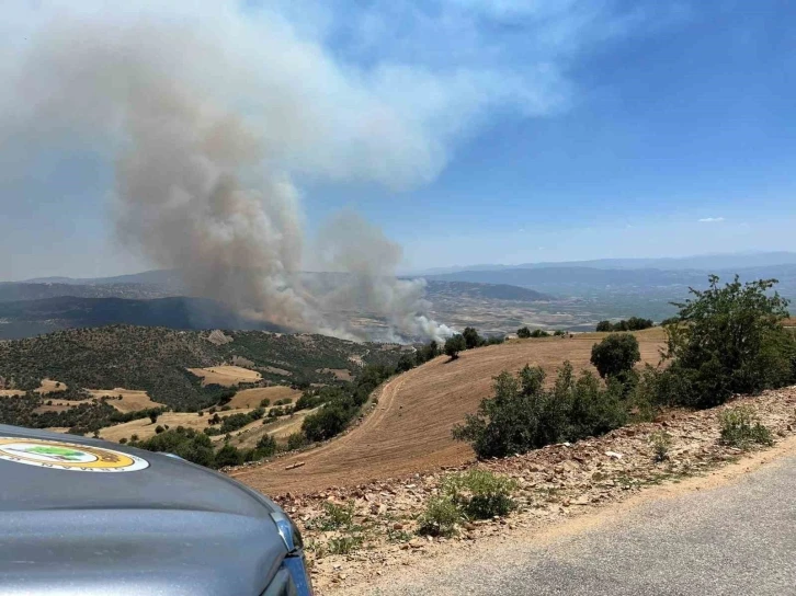 Manisa Valiliğinden yangına ilişkin açıklama
