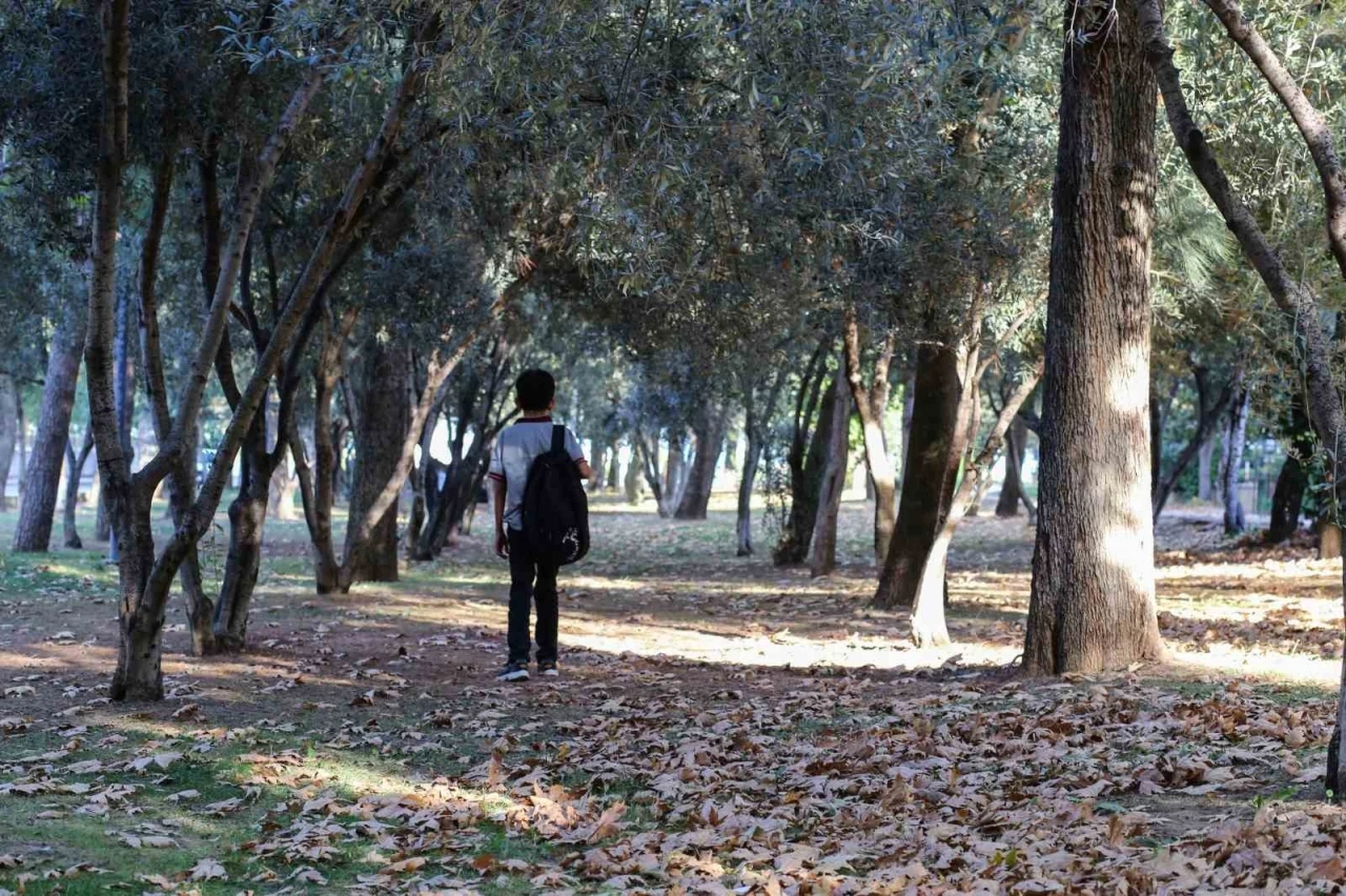 Manisa’ya sonbahar güzelliği geldi
