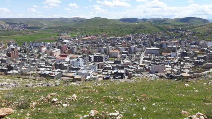 Mardin’de aileler arasında 2 gün süren kavgada 7 kişi yaralandı
