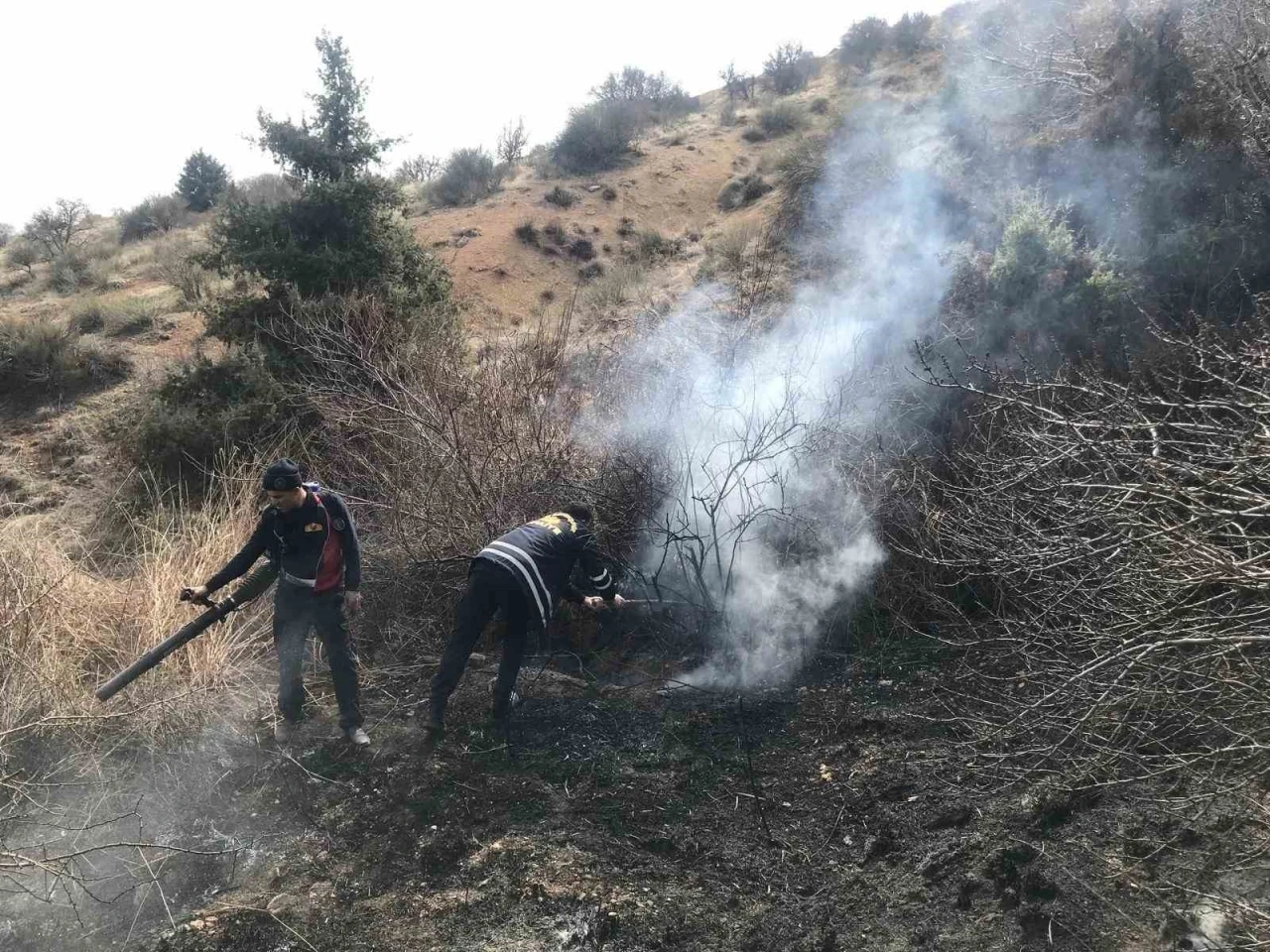 Mardin’de çıkan ot yangını söndürüldü
