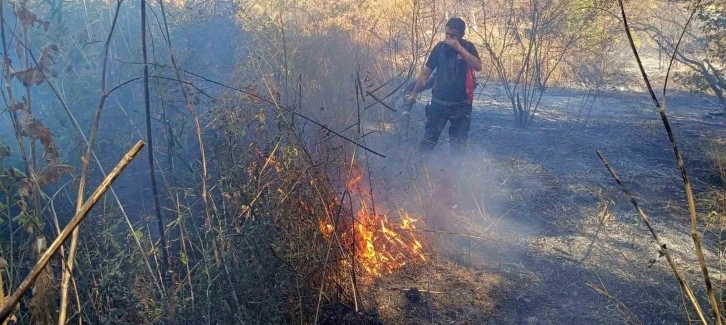 Mardin’de ormanlık alanda çıkan yangın devam ediyor
