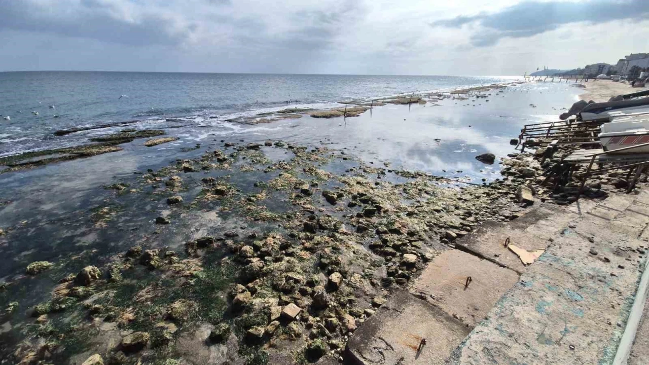 Marmara Denizi 10 metre çekildi, Kral Yolu ortaya çıktı
